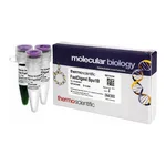 Thermo Fisher Scientific FastDigest Bpu10I