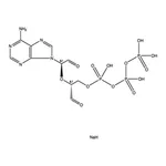 Merck ADENOSINE 5``-TRIPHOSPHATE, PERIODATE&