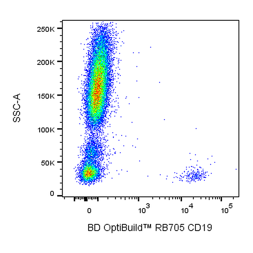 BD RB705 Mouse Anti-Human CD19