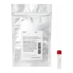 Thermo Fisher Scientific DyLight 510-LS NHS Ester
