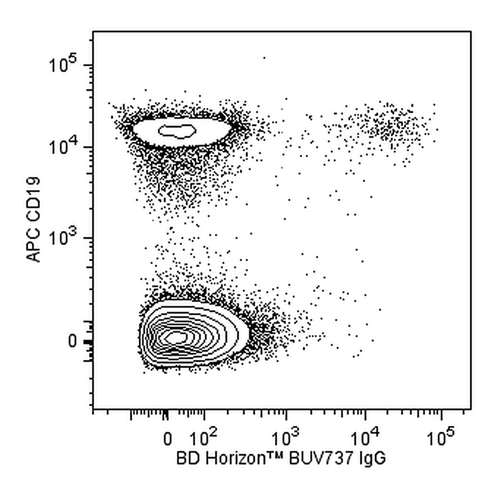 BD BUV737 Mouse Anti-Human IgG