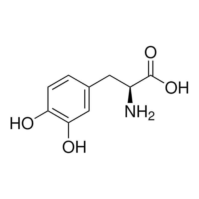 Merck Levodopa