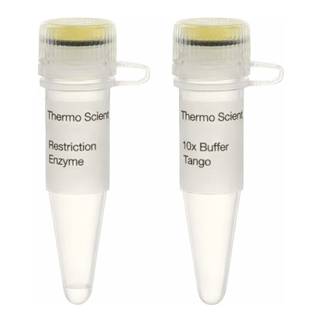Thermo Fisher Scientific SgsI (AscI) (10 U/&mu;L), 300 units