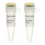 Thermo Fisher Scientific SgsI (AscI) (10 U/μL), 300 units