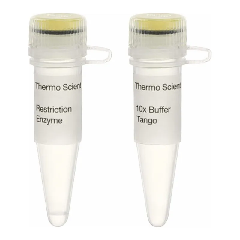 Thermo Fisher Scientific SgsI (AscI) (10 U/μL), 300 units