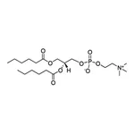Merck 06:0 PC (DHPC)