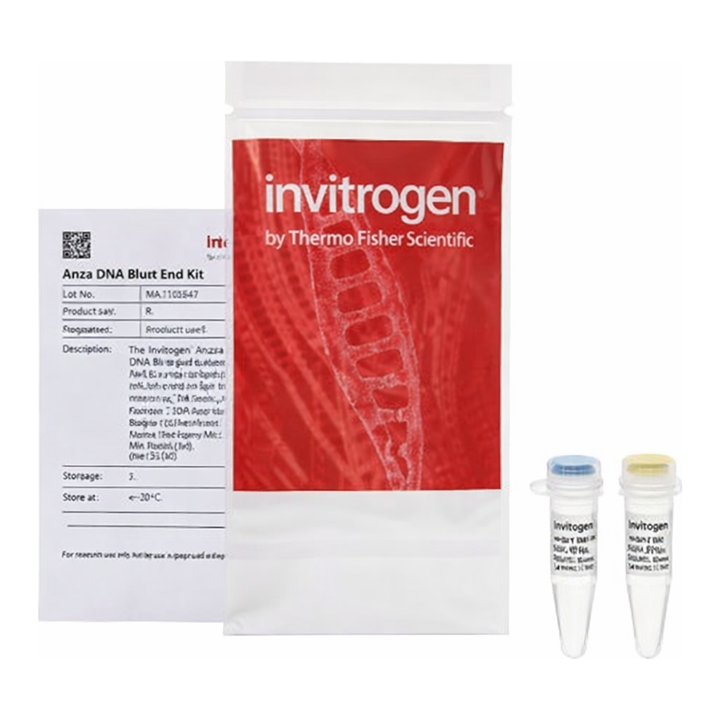 Thermo Fisher Scientific Anza DNA Blunt End Kit