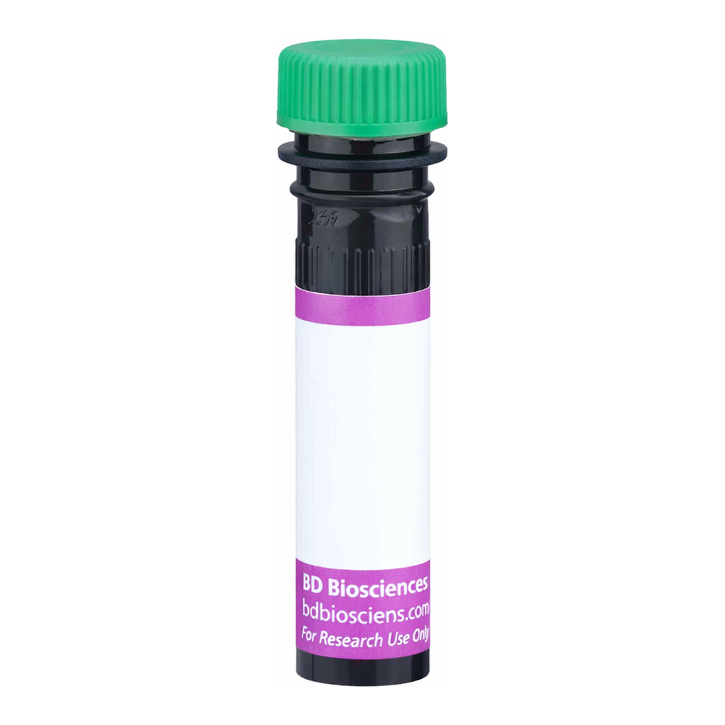 BD BV480 Mouse Anti-Rat IgG1/IgG2a