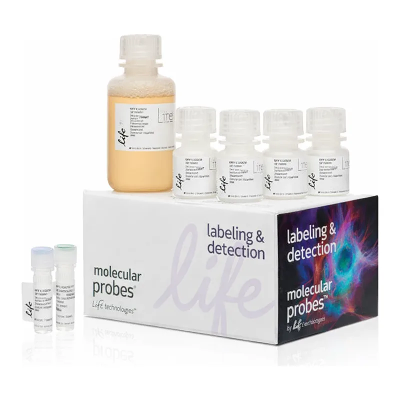 Thermo Fisher Scientific Click-iT EdU Pacific Blue Flow Cytometry Assay Kit
