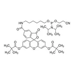 Merck FLUORESCEIN AMIDITE 0.1G, 89, SINGLE