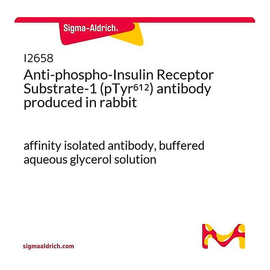 Merck Anti-phospho-Insulin Receptor Substrate-1 (pTyr612) antibody produced in rabbit