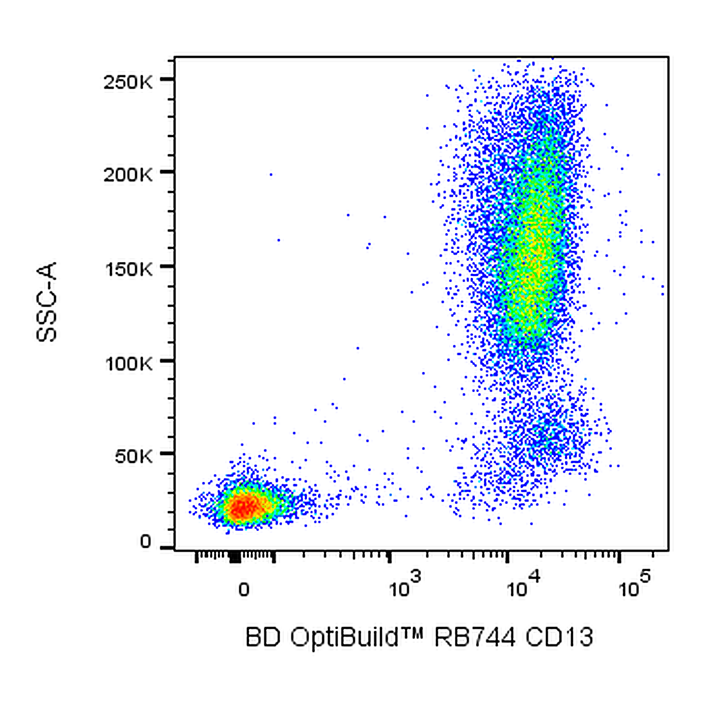 BD RB744 Mouse Anti-Human CD13