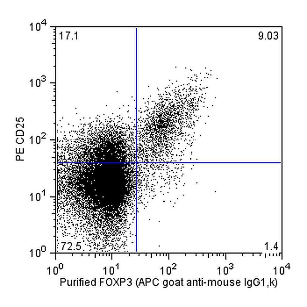 BD Purified Mouse anti-Human FoxP3
