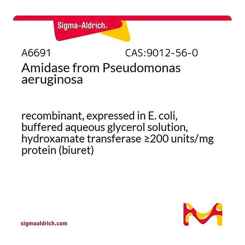 Merck Amidase from Pseudomonas aeruginosa