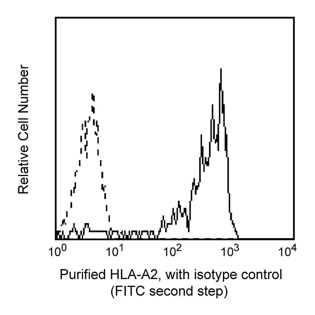 BD Purified Mouse Anti-Human HLA-A2