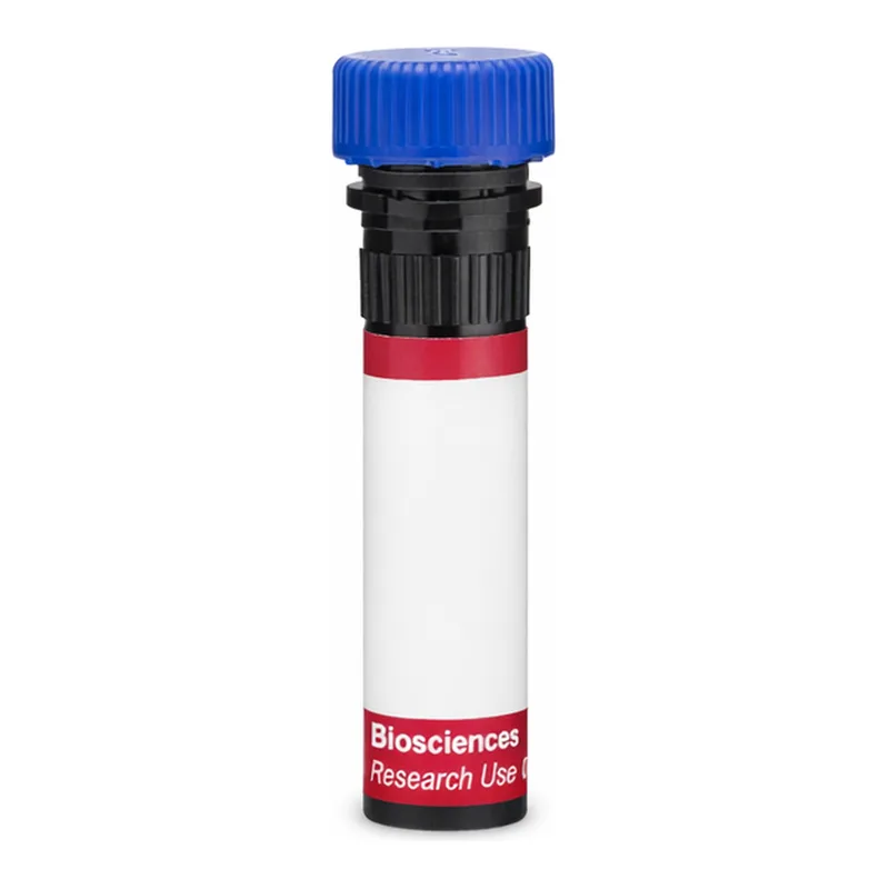 BD R718 Rat Anti-Mouse Vβ 6 T-Cell Receptor