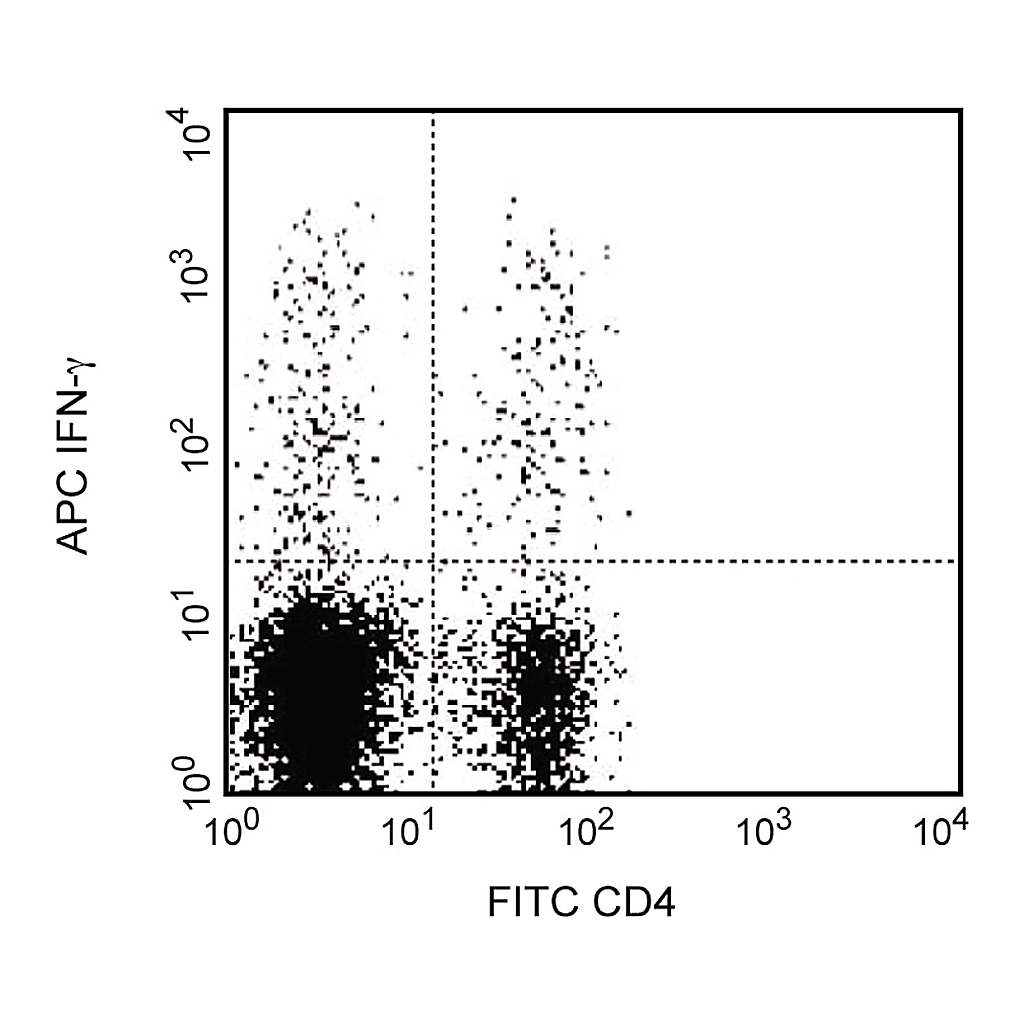 BD APC Rat Anti-Mouse IFN-γ