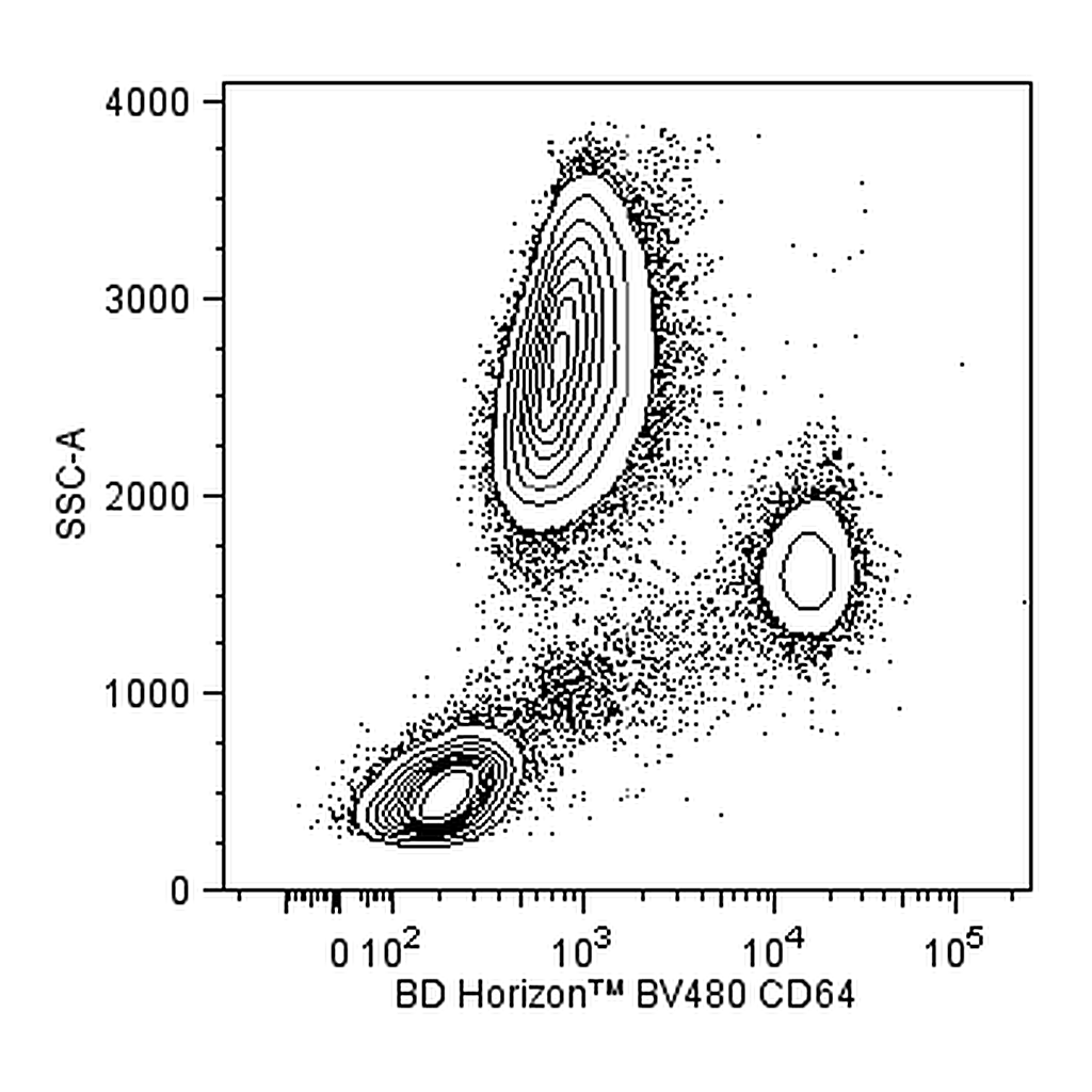 BD BV480 Mouse Anti-Human CD64