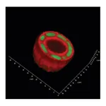 Merck TrueGel3D RGD