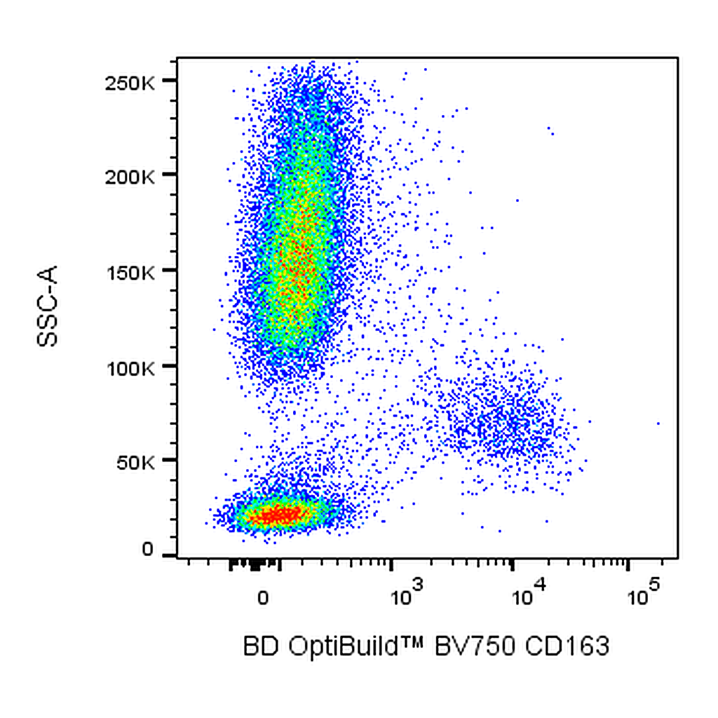 BD BV750 Mouse Anti-Human CD163
