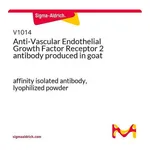 Merck Anti-Vascular Endothelial Growth Factor Receptor 2 antibody produced in goat