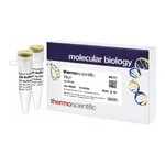 Thermo Fisher Scientific PfoI (10 U/μL)