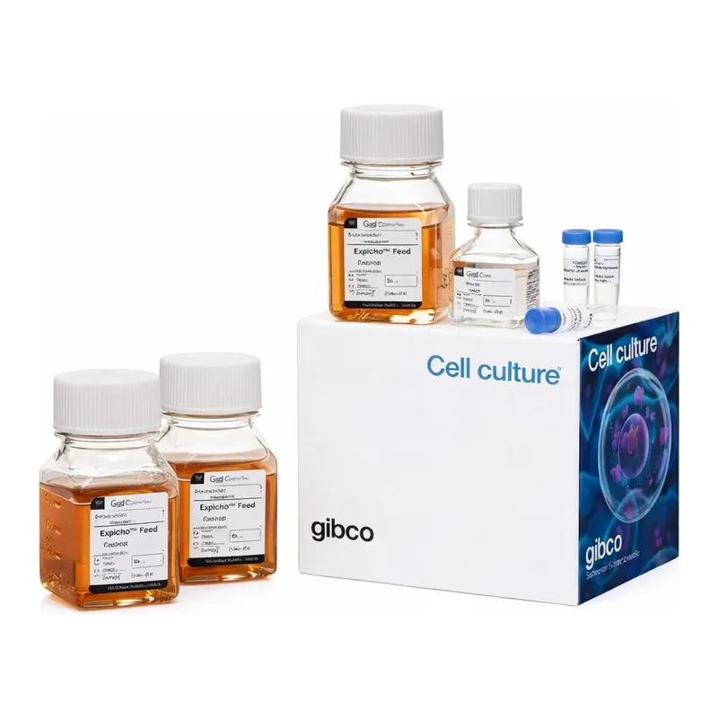 Thermo Fisher Scientific ExpiFectamine CHO Transfection Kit, For 1 L of culture