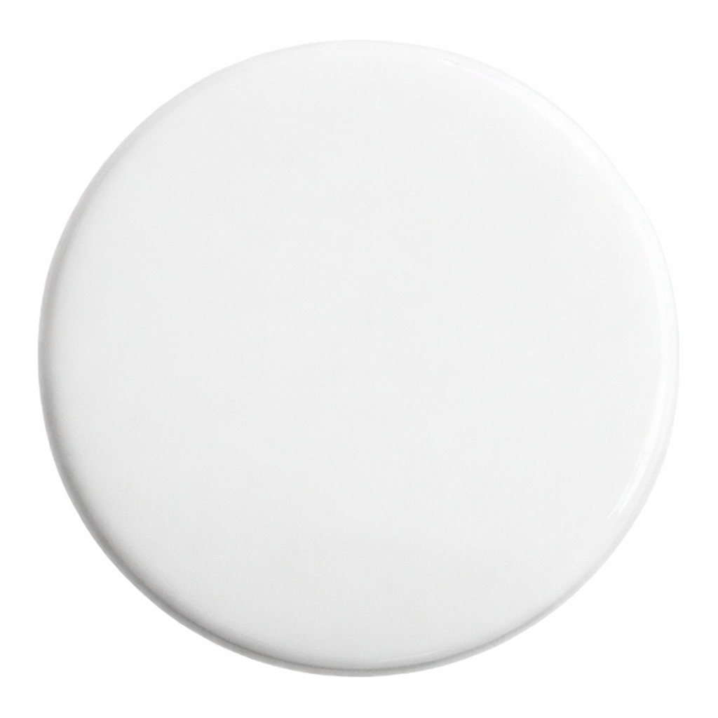 Waters PES IC Solvent Filter, 47 mm, 0.45 µm, 100/pk
