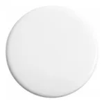 Waters PES IC Solvent Filter, 47 mm, 0.45 µm, 100/pk