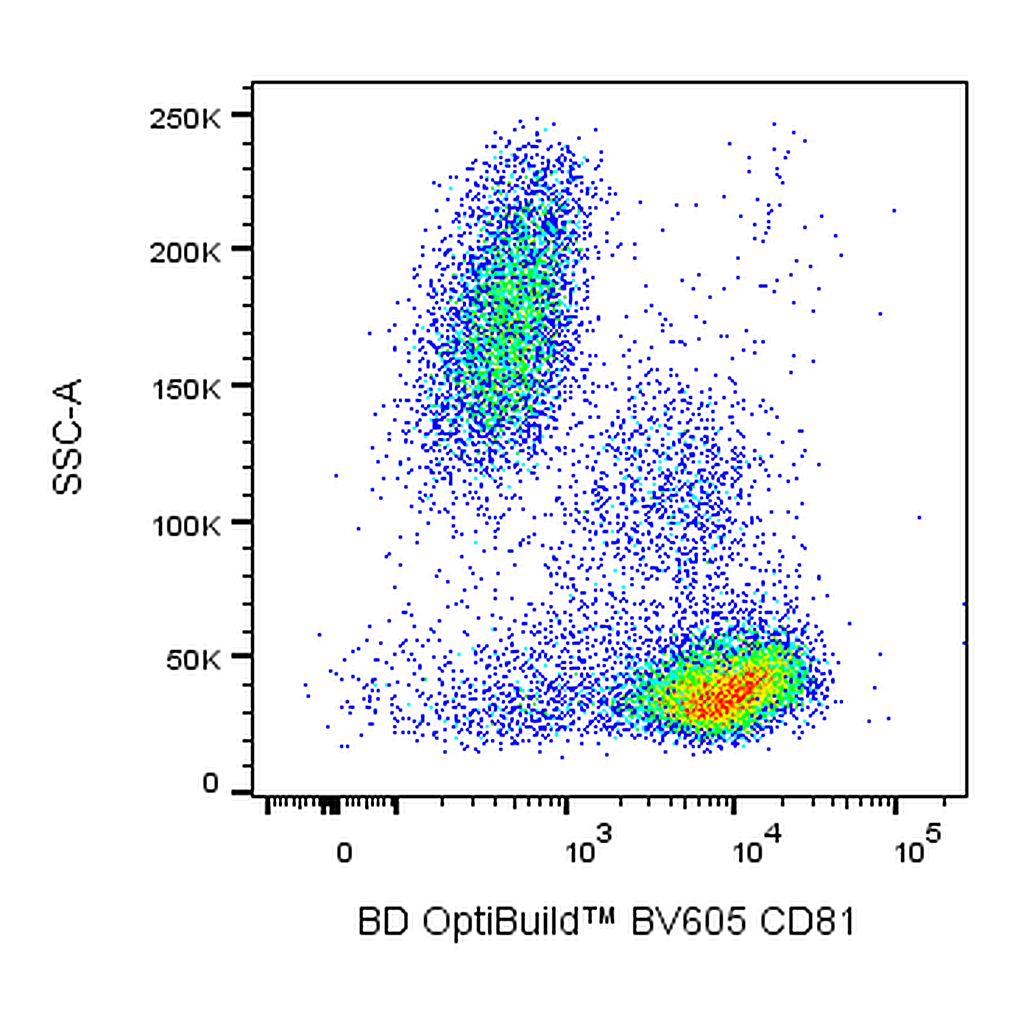 BD BV605 Mouse Anti-Human CD81