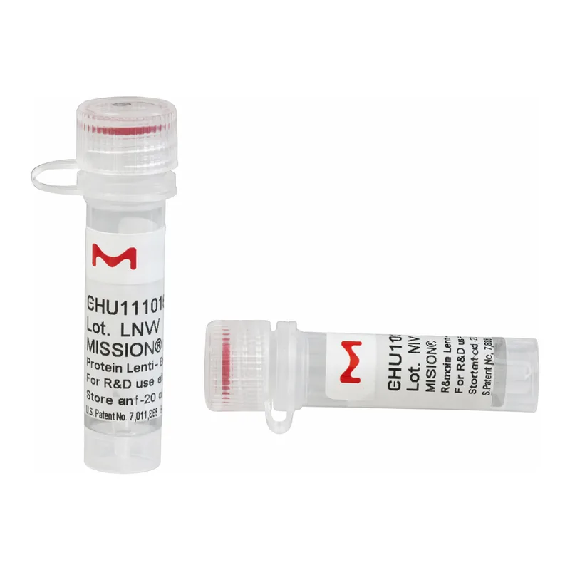 Merck ESIRNA HUMAN UBE2R2