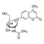 Merck 4-METHYLUMBELLIFERYL-N-ACETYL-B-D- &