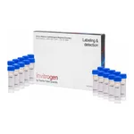 Thermo Fisher Scientific ER-Tracker Blue-White DPX, for live-cell imaging