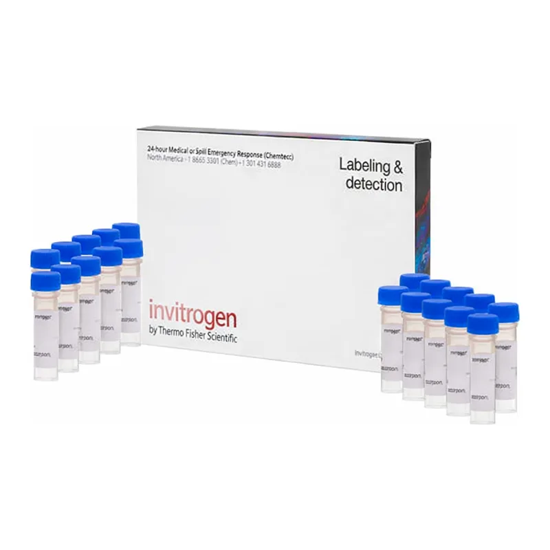 Thermo Fisher Scientific ER-Tracker Blue-White DPX, for live-cell imaging
