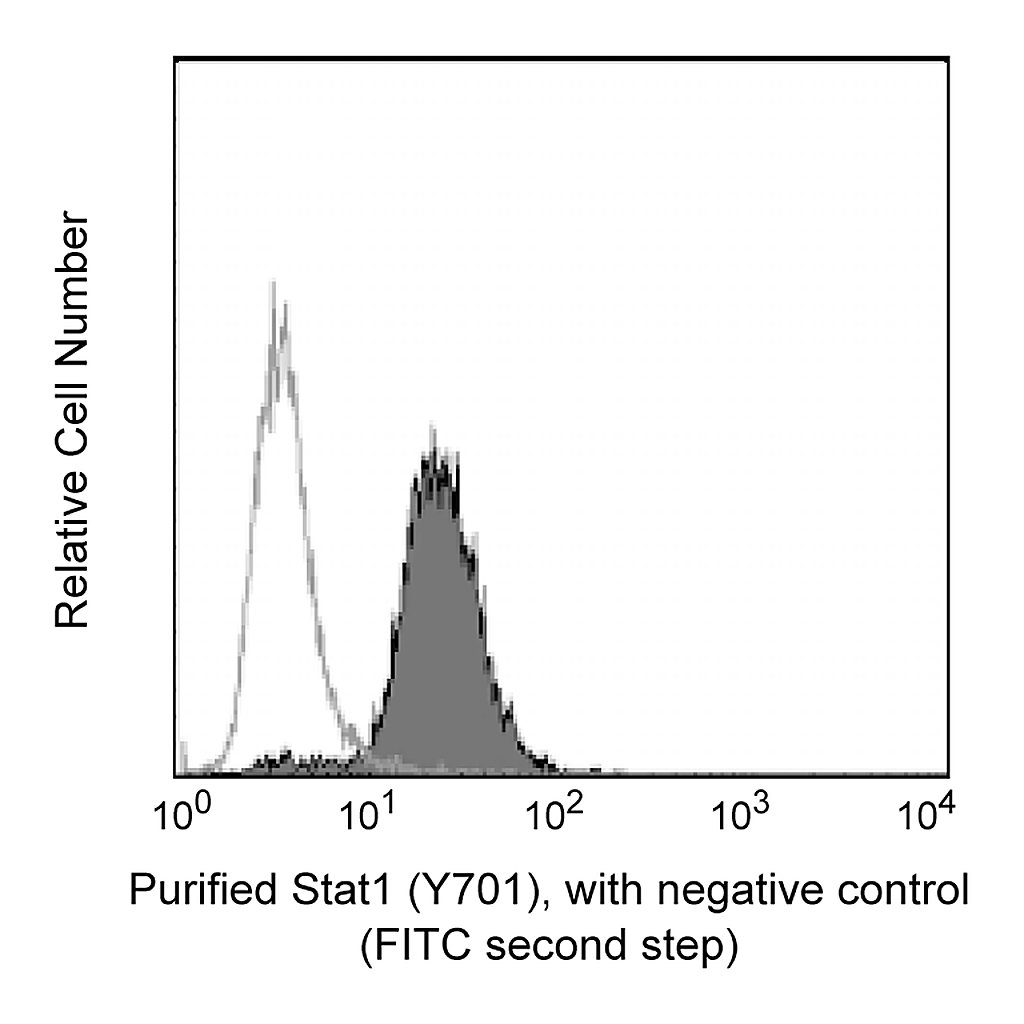 BD Purified Mouse Anti-Stat1 (pY701)