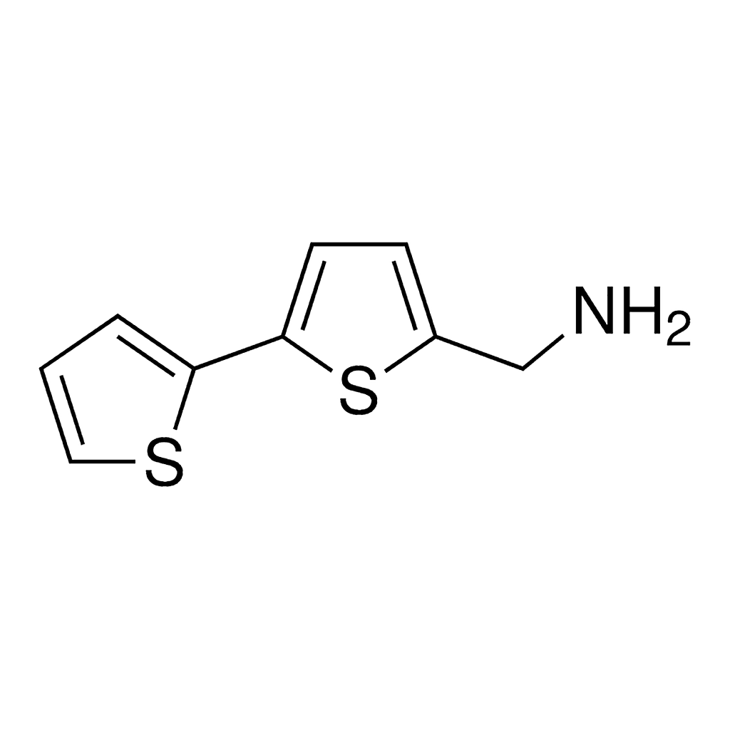 Merck c-[2,2']bithiophenyl-5-yl-methylamine