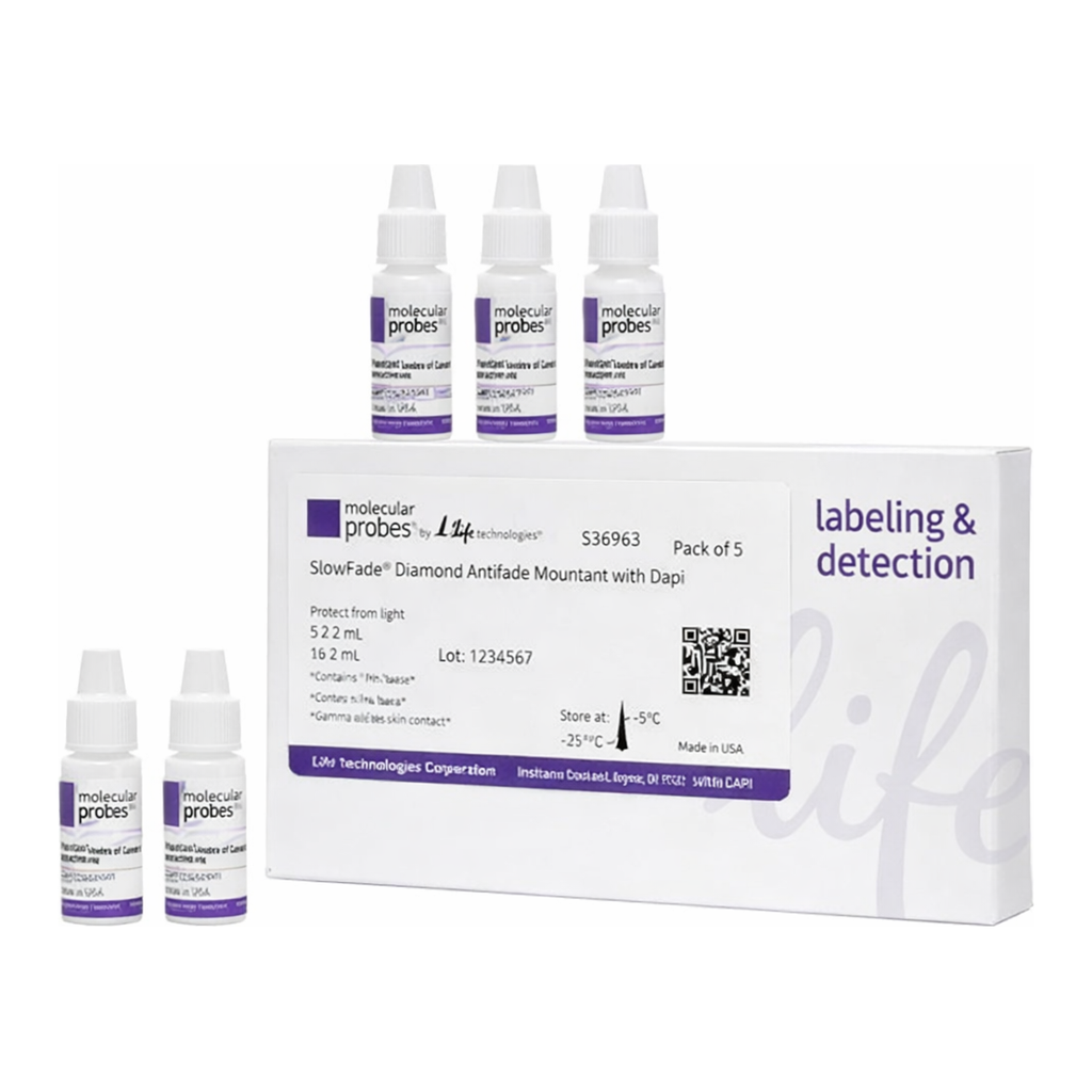 Thermo Fisher Scientific SlowFade Diamond Antifade Mountant with DAPI, 5 x 2 mL