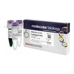 Thermo Fisher Scientific FastDigest XhoI, 400 μL (400 reactions)