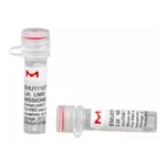 Merck MISSION(R) esiRNA