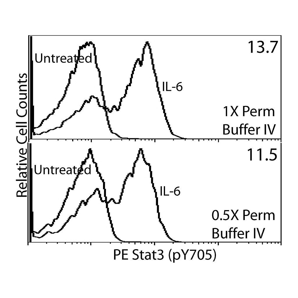 BD Perm Buffer IV 10×