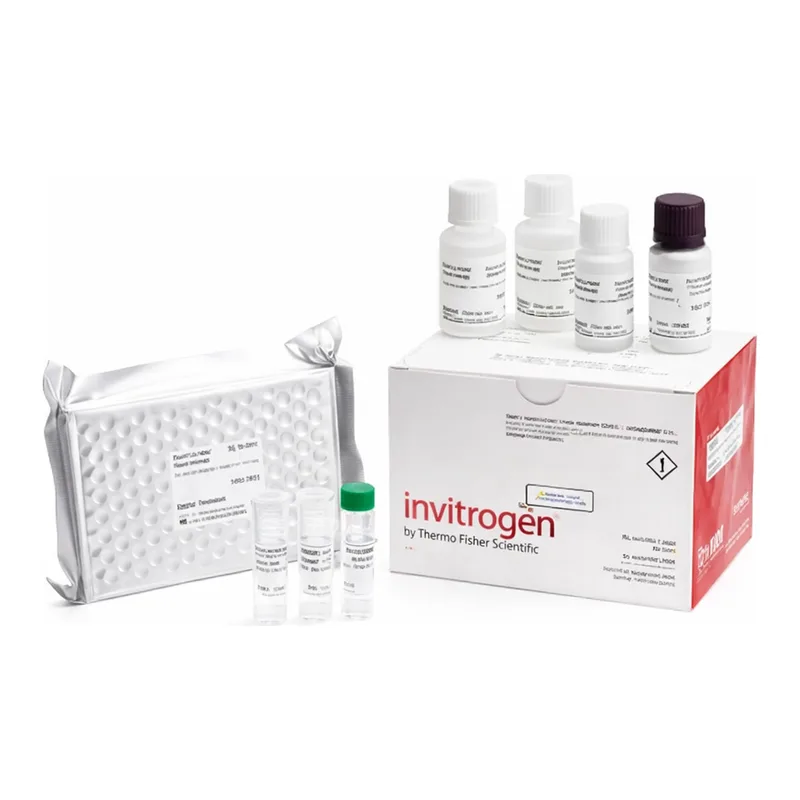Thermo Fisher Scientific Human AFP Rapid ELISA Kit