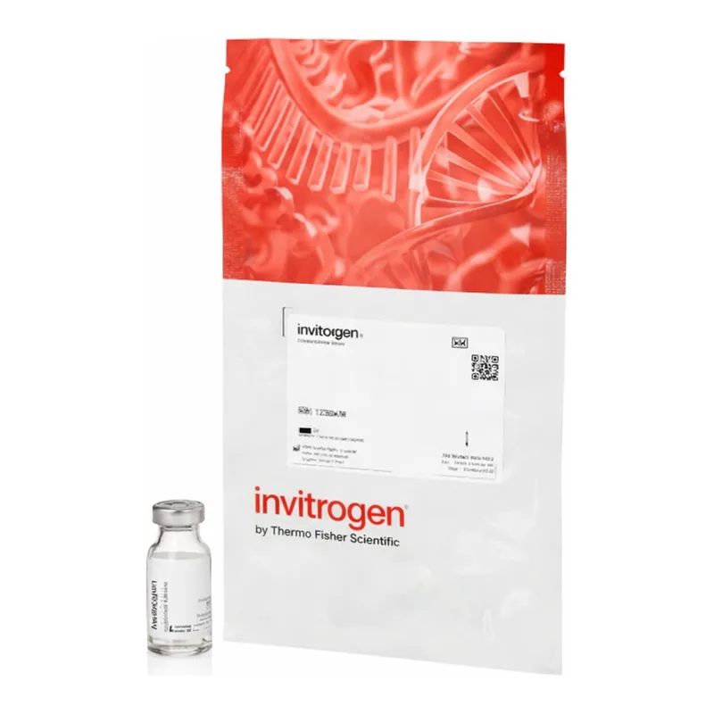 Thermo Fisher Scientific FluoSpheres Polystyrene Microspheres, 10 μm, yellow-green fluorescent (505/515), for blood flow determination