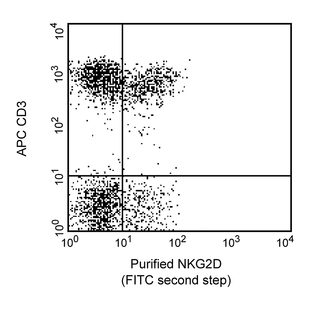 BD Purified Mouse Anti-Human CD314 (NKG2D)