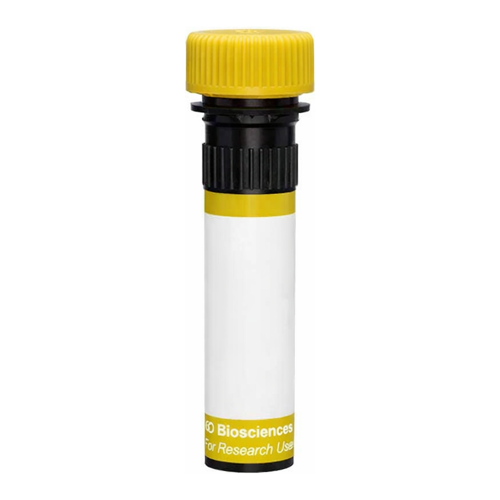 BD RY586 Rat Anti-Mouse FR4 (Folate receptor 4)