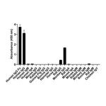 Thermo Fisher Scientific Goat anti-Human IgG Fc Recombinant Secondary Antibody, Alexa Fluor 488