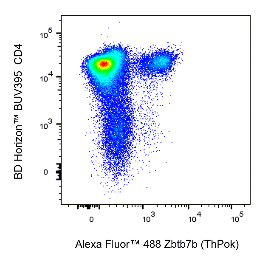 BD Alexa Fluor 488 Rat Anti-Mouse Zbtb7b (ThPok)