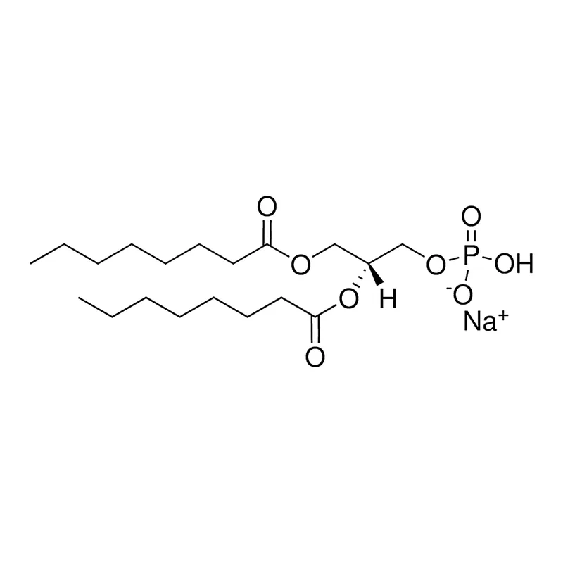 Merck 08:0 PA