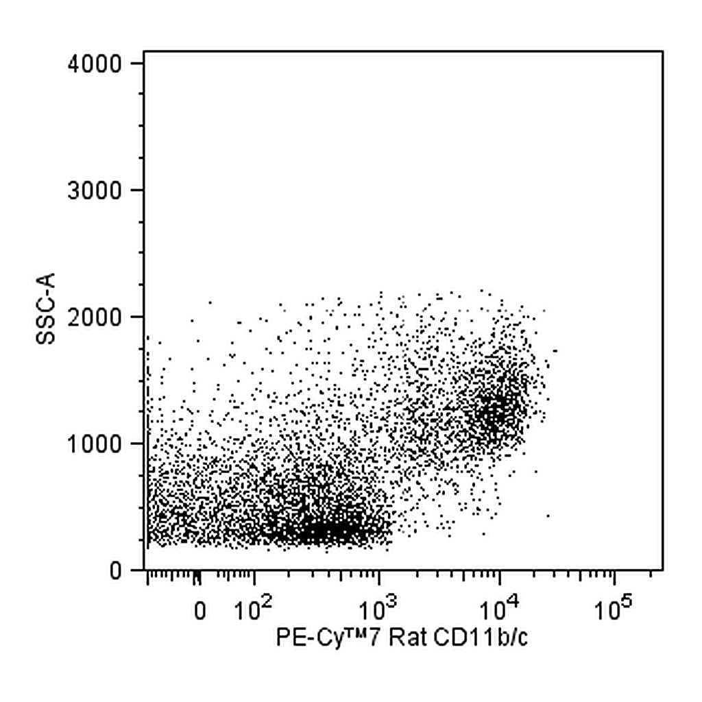 BD PE-Cy7 Mouse Anti-Rat CD11b/c