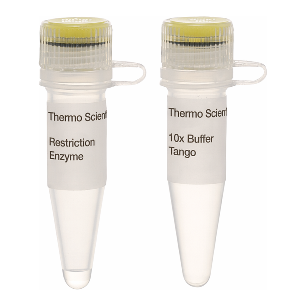 Thermo Fisher Scientific AatII (10 U/&mu;L), 300 units