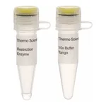 Thermo Fisher Scientific AatII (10 U/μL), 300 units